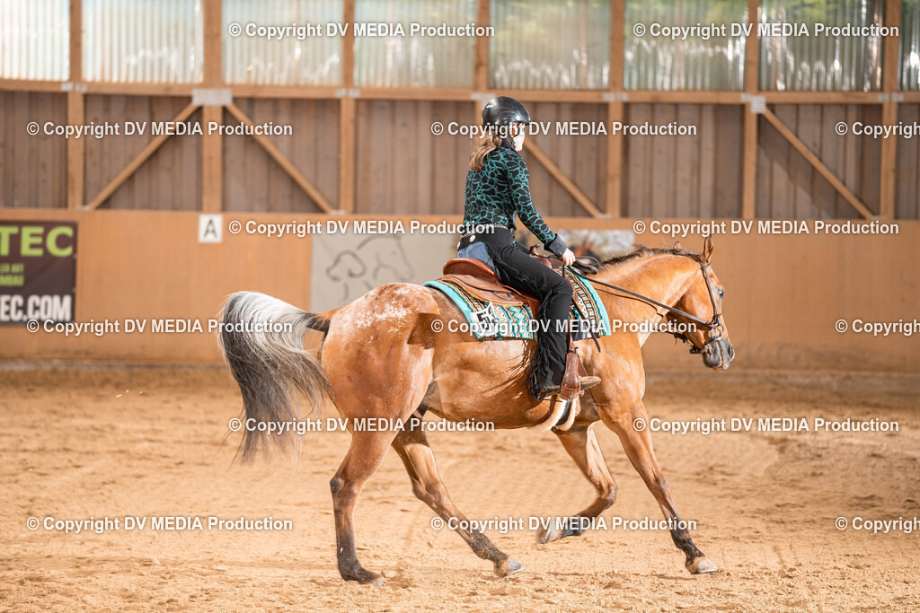 Losheim Tag 1-718 | dv-media-shop - Realisiert mit Pictrs.com