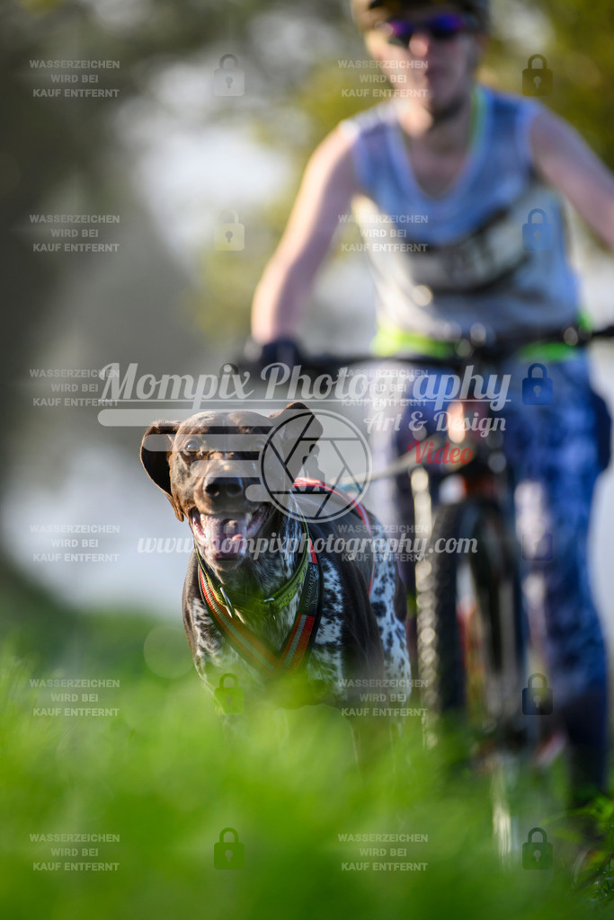 MompixPhotography_20TSB_E3_Bike-152 | PayLife