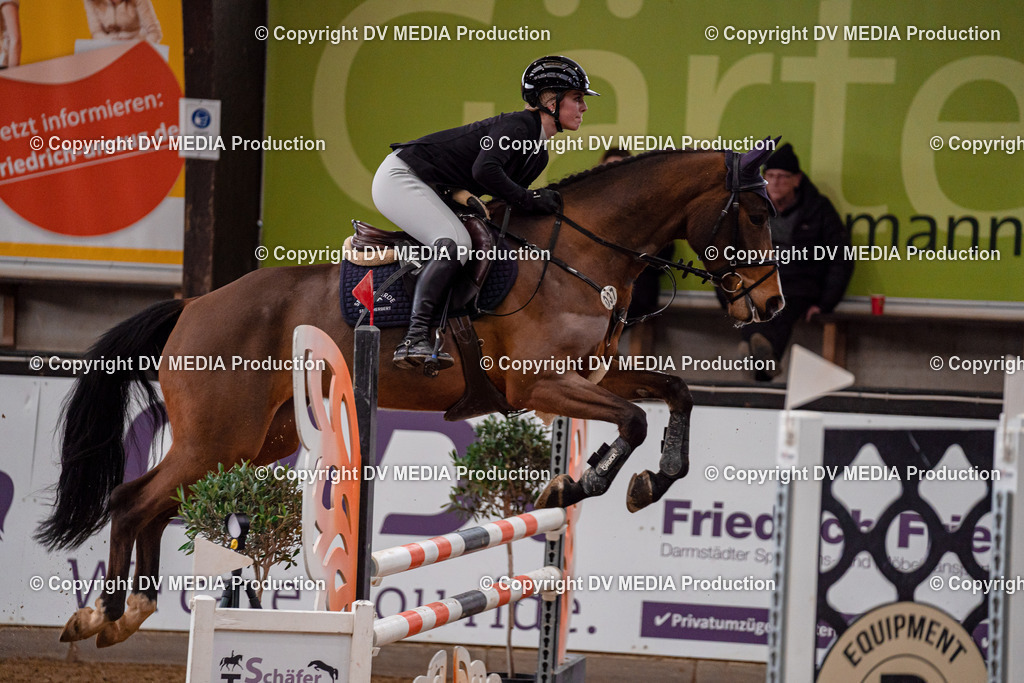 Kranichstein Tag 2-471 | dv-media-shop - Realisiert mit Pictrs.com