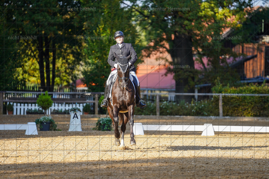 20221007-FAH00184 | Diessen am Ammersee, 2022, Dressur- und Springturnier, Reitsportbilder, Turnierfotografen Bayern, Pferdefotografen, Fotoagentur Herrmann, Turnierbilder