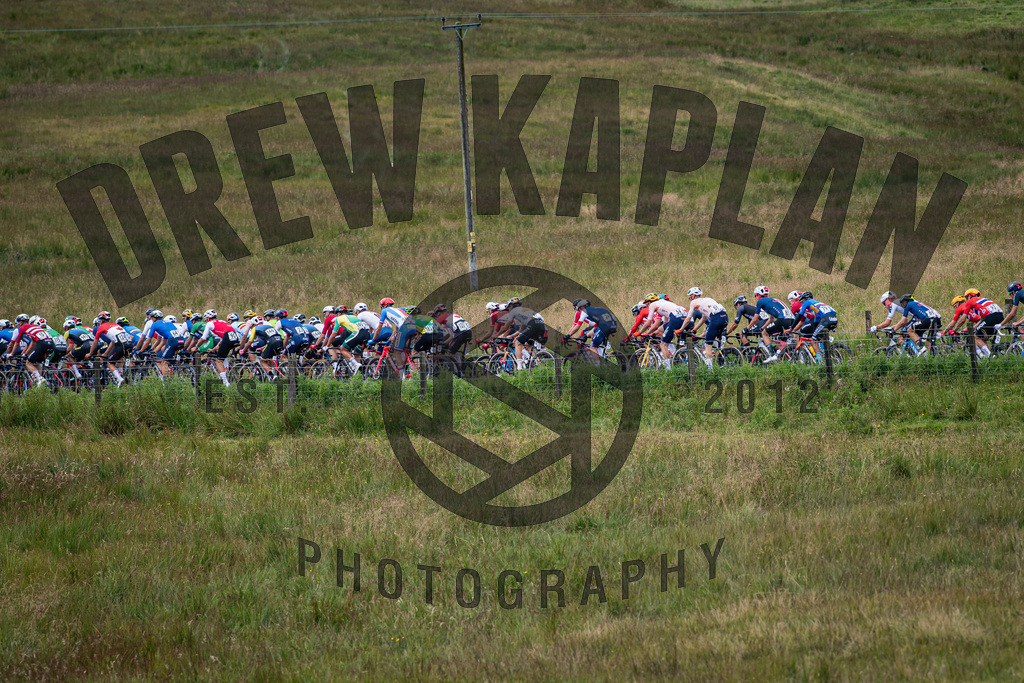 DKP-4797 | Drew Kaplan Photography