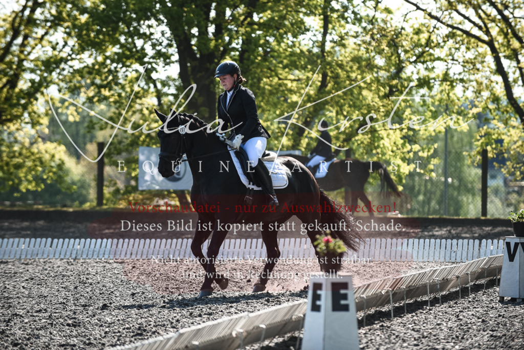 DSC_8823 | Pferde- und Turnierfotografie in Westsachsen. Pferdeportraits, Auftragszeichnungen und intuitive Kunst.