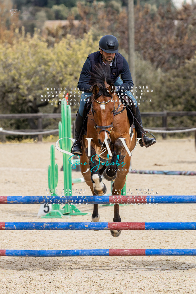 IMG_3767 | s-jay-photography - Realisiert mit Pictrs.com