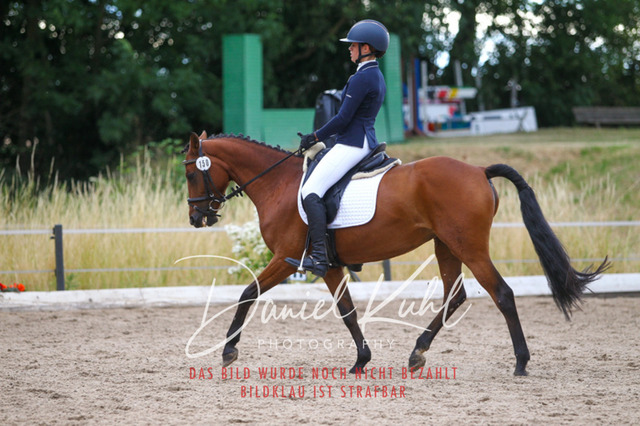 DKP46741 | Turniersportfotografie; Pferdefotografie; Dressurfotografie