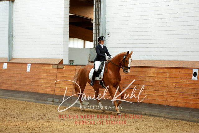 _62_4781 | Turniersportfotografie; Pferdefotografie; Dressurfotografie