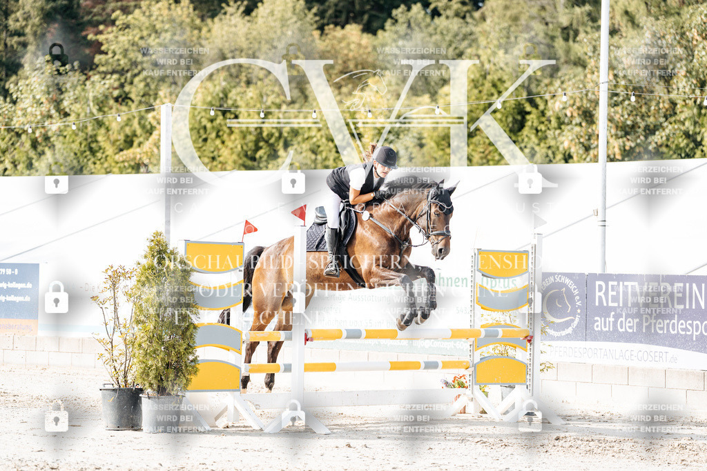 CK905849 | Turnierfotografie Pferdefotografie Trier Rheinland-Pfalz Pferdesport Reitsport Tierfotografie Sportfotografie Pferdevideo Pferdevideografie Equestrianvideography equestrianphotography  - Realisiert mit Pictrs.com
