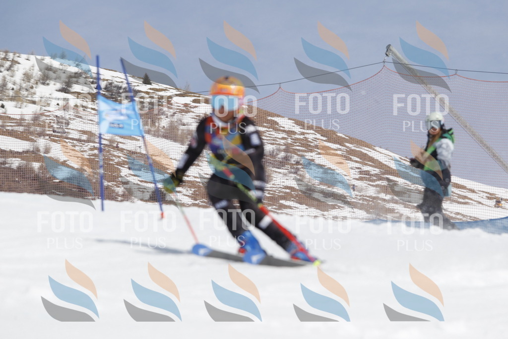 _U3G1830 | holidayphoto