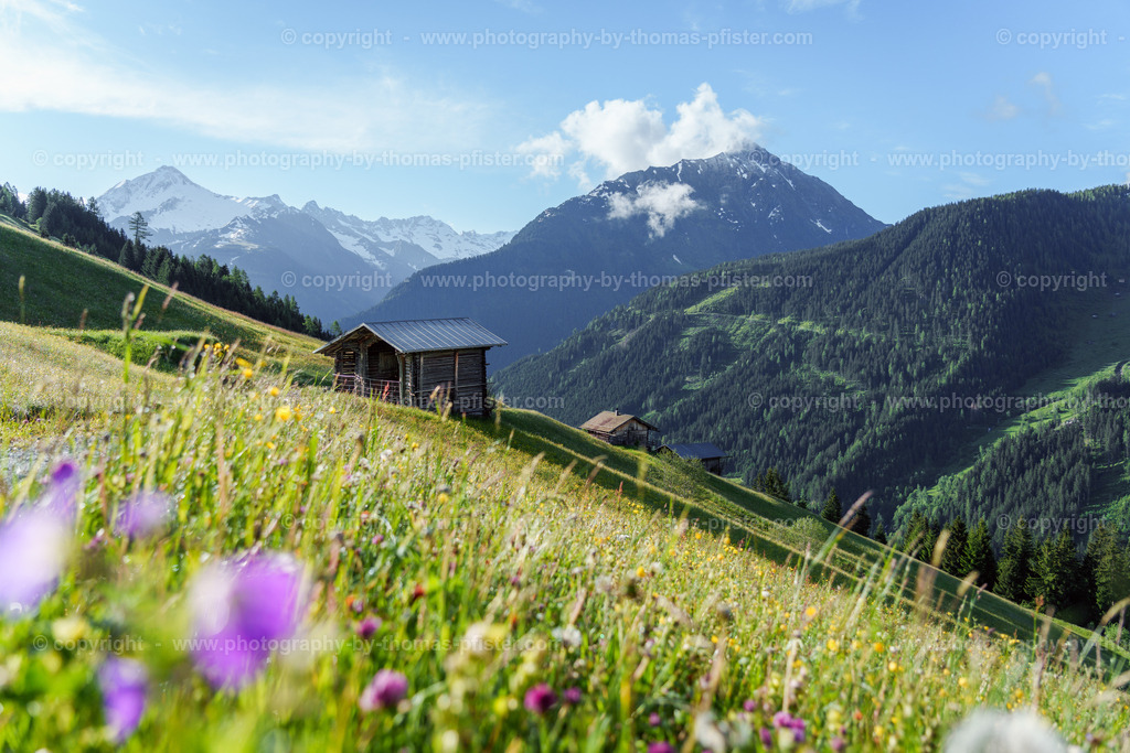 Frühling Möser Tux copyright  Thomas Pfister-2 | PHOTOGRAPHY BY THOMAS PFISTER