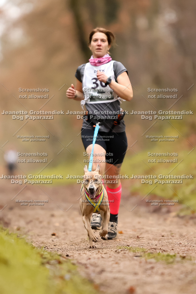Dog Paparazzi - Speedhunter Mannheim  2025-79 | Dog Paparazzi Jeanette Grottendiek Fotografie & Videografie