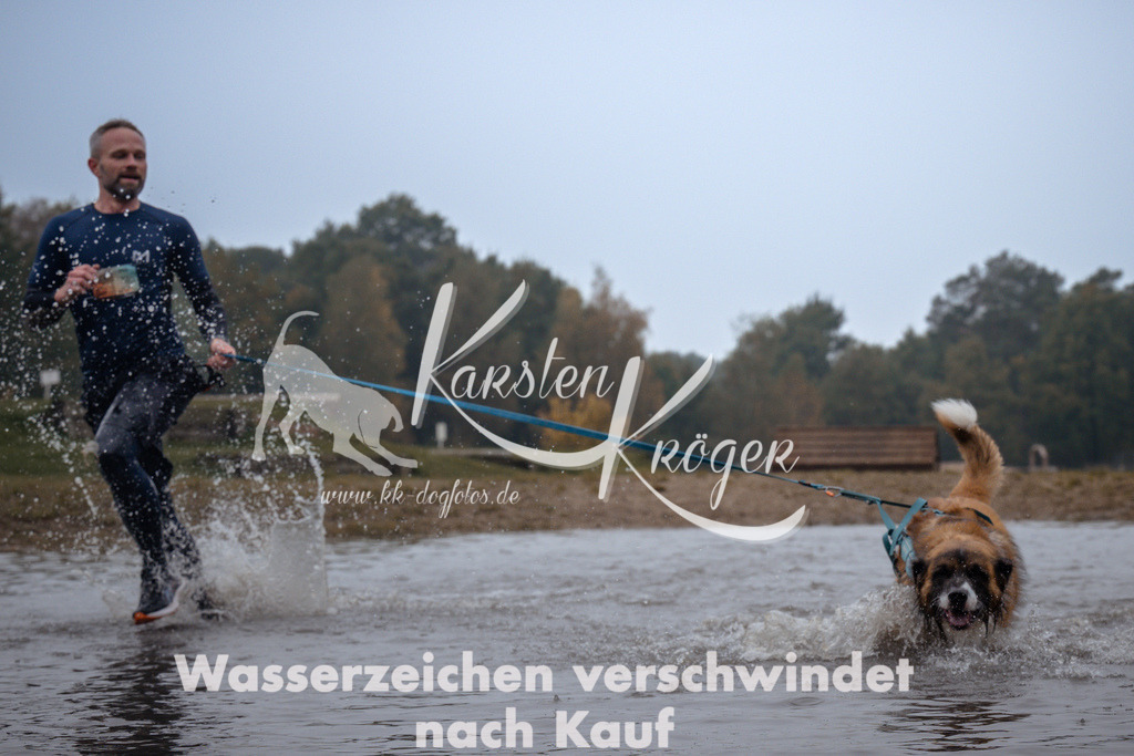 1017_ZZ99030 | kk-dogfotos