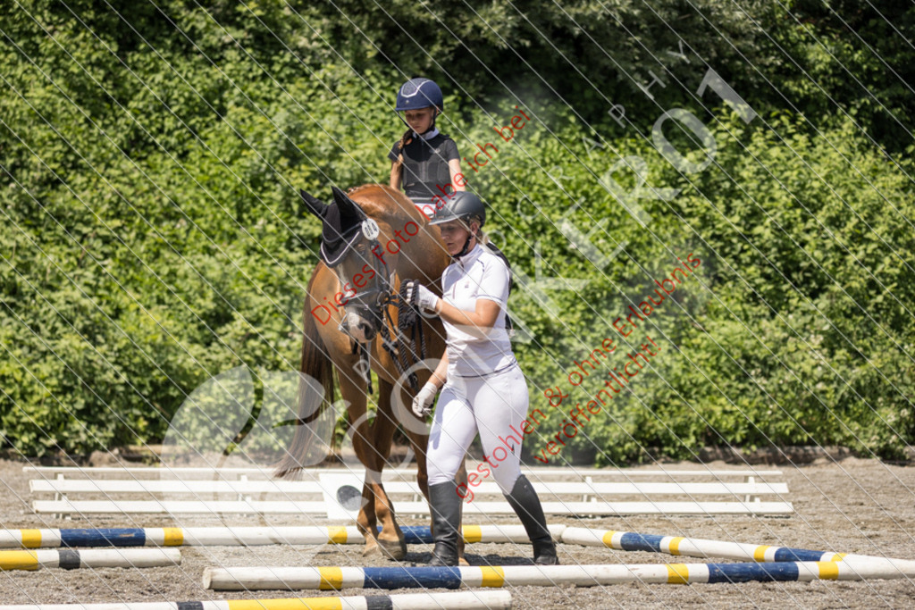 IMG_3492 | Sport-, Event- und Tierfotos in Profiqualität. Einfach auswählen, bestellen und herunterladen. Dein Moment – perfekt festgehalten.