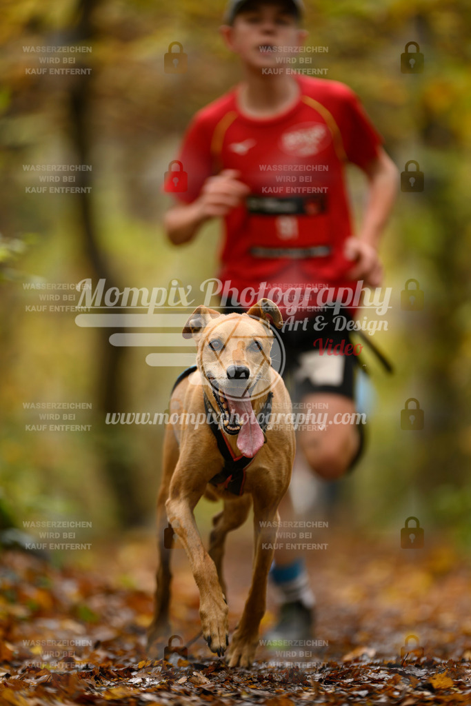 MompixPhotography_CD7S_DI_CCL-73 | mompixphotography