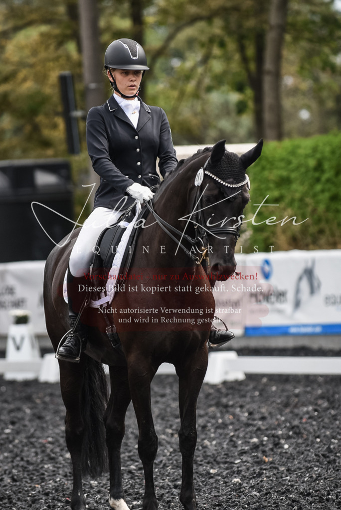 DSC_5053 | Pferde- und Turnierfotografie in Westsachsen. Pferdeportraits, Auftragszeichnungen und intuitive Kunst.