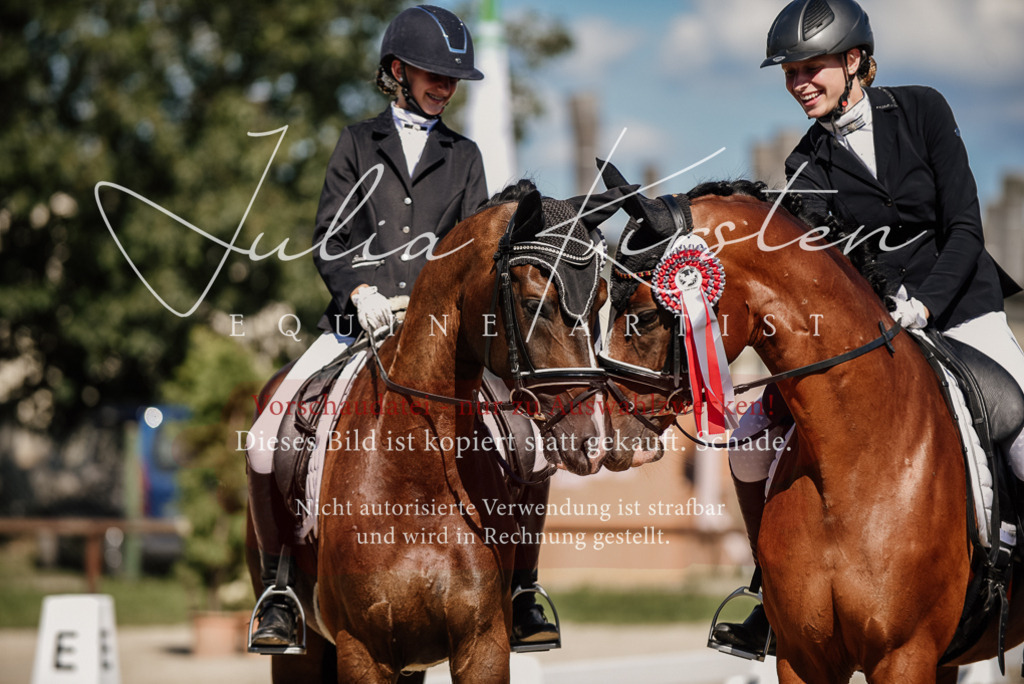 DSC_9799 | Pferde- und Turnierfotografie in Westsachsen. Pferdeportraits, Auftragszeichnungen und intuitive Kunst.