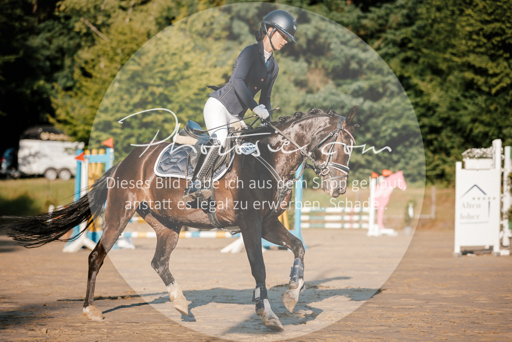 3I6A6132 | Stimmungsvolle Portraits und Reitsportfotografie im Ruhrgebiet und im Münsterland.

Pferdefotografie, Hundefotografie, Tierfotografie, Reportagen, Portraits von Tier und Mensch, Turnierfotografie in Bochum, Recklinghausen, Marl, Haltern am See, Dülmen.. - Realisiert mit Pictrs.com