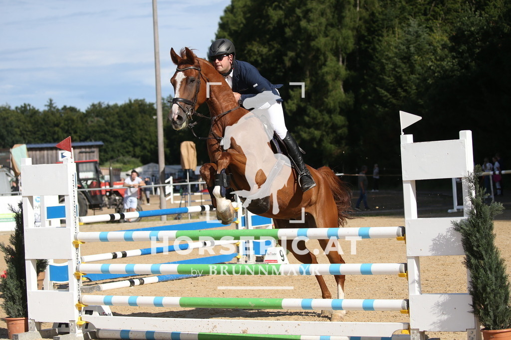DL2Q3383 | Willkommen bei Brunnmayr - Design & Fotografie – Ihrem Spezialisten für Reitturniere und Pferdeveranstaltungen in Oberösterreich, Salzburg und Bayern! Seit über 17 Jahren sind wir leidenschaftlich dabei.