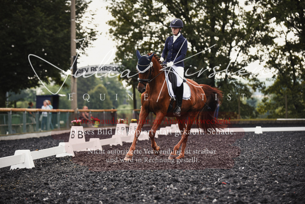 DSC_3805 | Pferde- und Turnierfotografie in Westsachsen. Pferdeportraits, Auftragszeichnungen und intuitive Kunst.