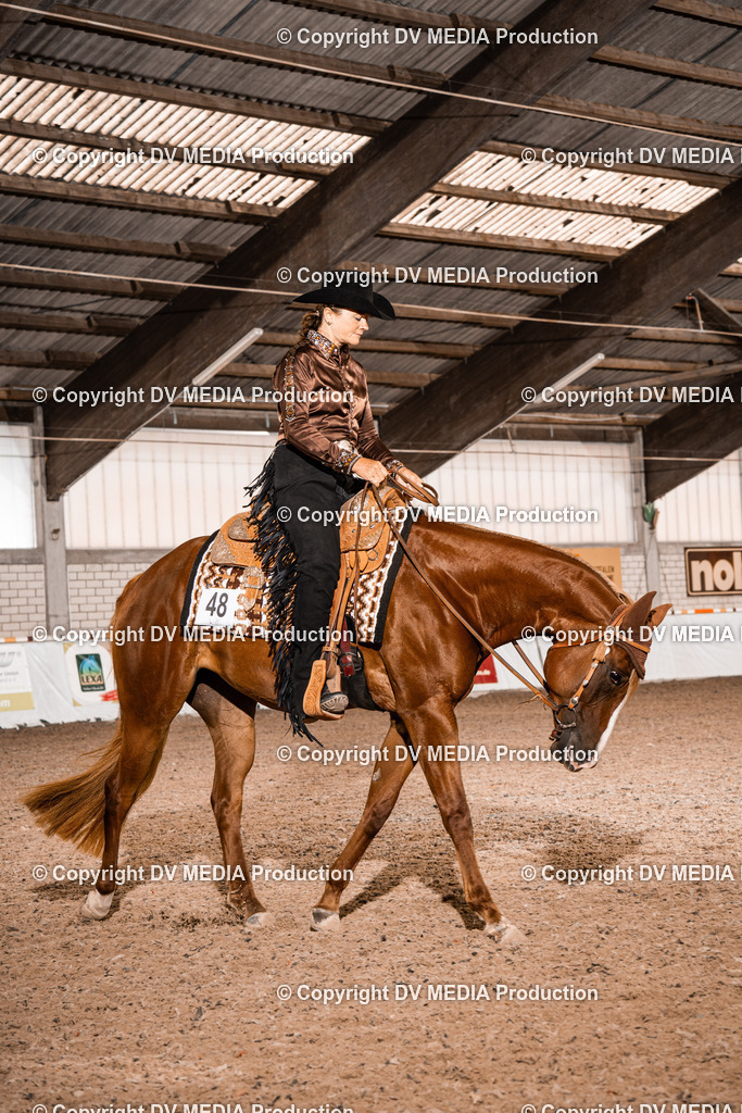 ZH100137 | dv-media-shop - Realisiert mit Pictrs.com