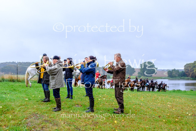 Jagd Kletkamp 26-9491_MarinaHewig | Fotografie, FotoArt, PferdesportArt, Pferdesportfotografie, Landschaftsfotografie, Reisefotografie, Reise, Pferde - Realisiert mit Pictrs.com