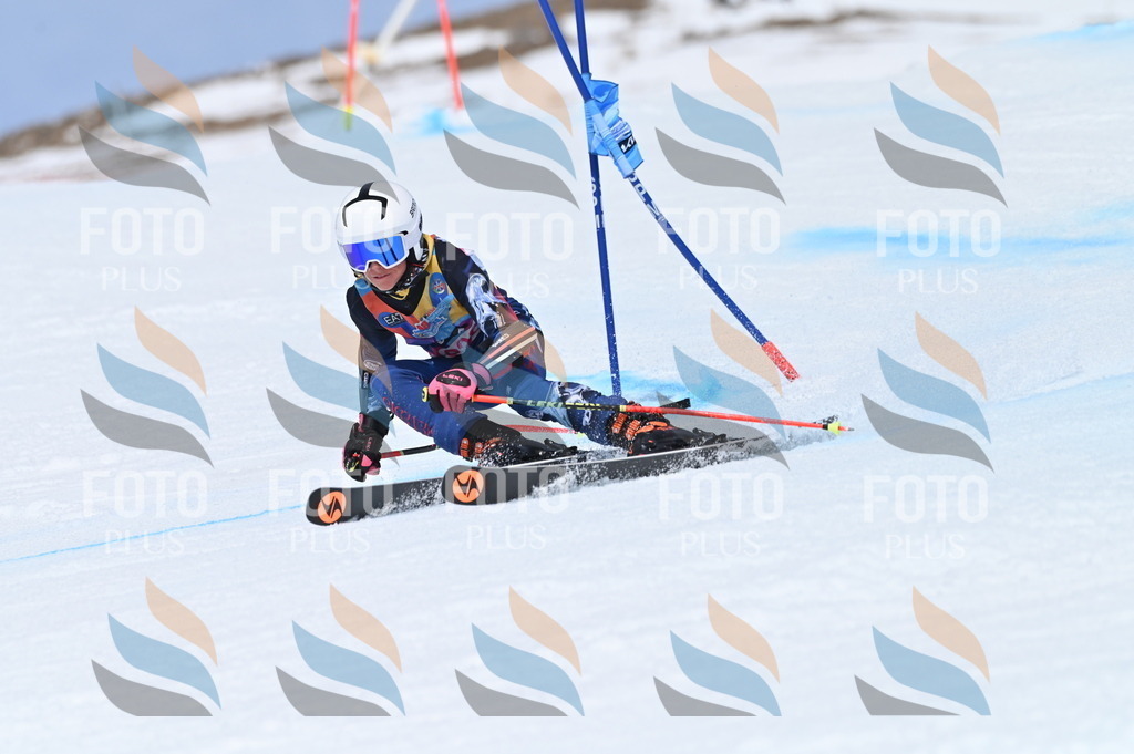 BGV_1664 | holidayphoto