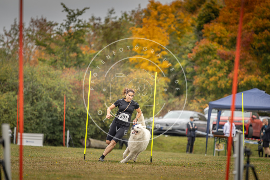 Pfotenfotografie_DV3A1934 | Hundefotografie, Tierfotograf, Pfotenfotografie, Fotoshooting Hund, Hunde Portrait, Hundesport, Hundeportraits, Heideshooting, Hunde, Sportfotograf, Hundefotograf, Turnierhundsport, THS,  - Realisiert mit Pictrs.com