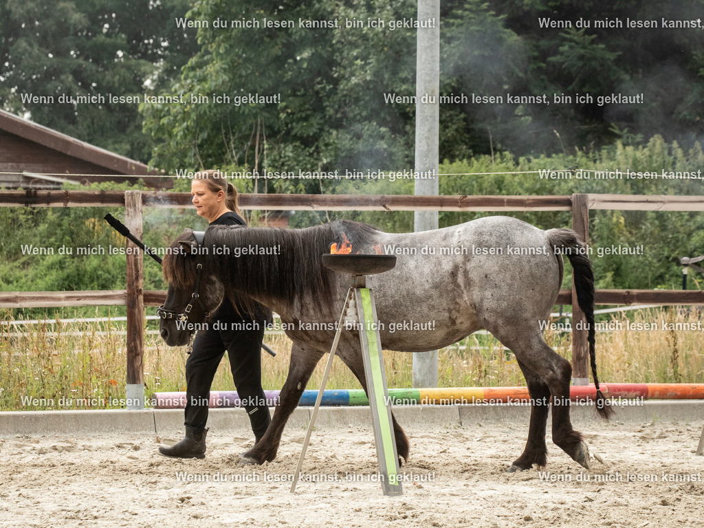 598A7185 | photographylinaismer - Realisiert mit Pictrs.com