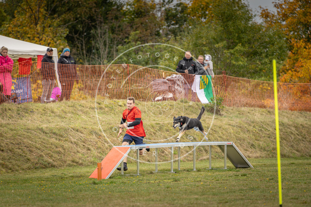 Pfotenfotografie_DV3A5843 | Hundefotografie, Tierfotograf, Pfotenfotografie, Fotoshooting Hund, Hunde Portrait, Hundesport, Hundeportraits, Heideshooting, Hunde, Sportfotograf, Hundefotograf, Turnierhundsport, THS,  - Realisiert mit Pictrs.com