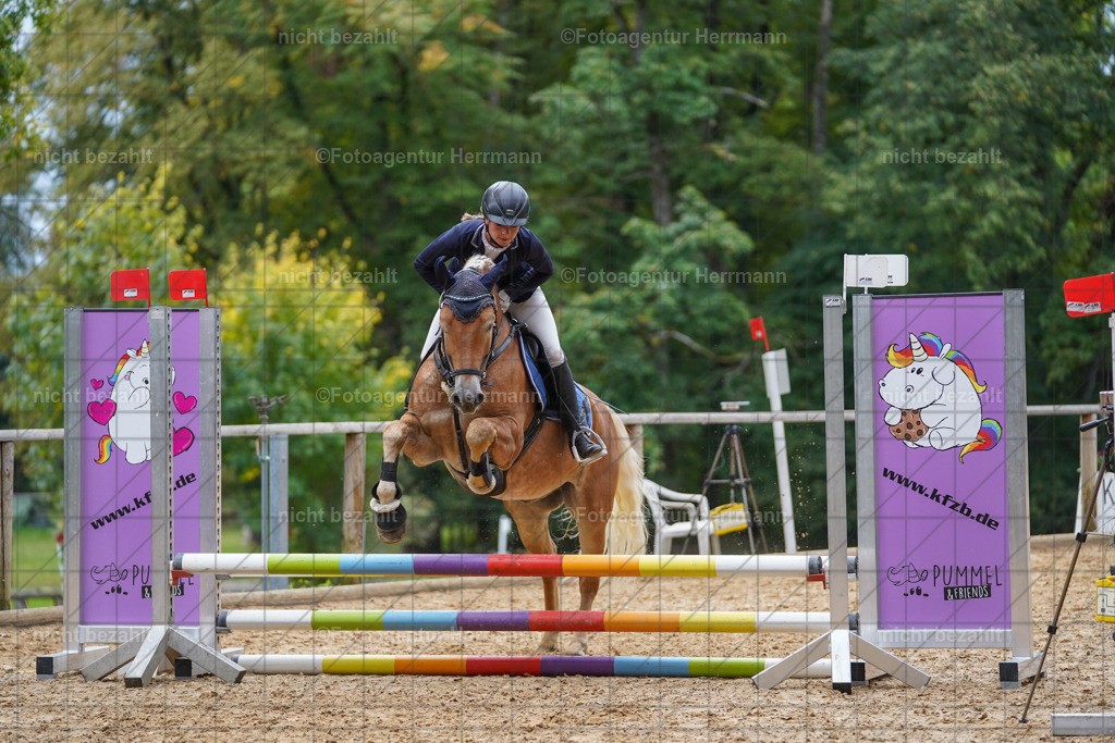 20231008-SN_01007 | Professionelle Turnier- und Reitsportfotografie - mit dem Finger am Auslöser. Pferdebilder aus dem Reitsport von den Turnierfotografen  Bayern , Pferdefotograf Bayern, Pferdeshooting Turnierbilder, Hochzeitsfotograf, Eventfotograf, Hochzeitsbilder