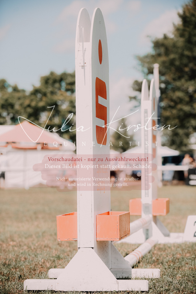 DSC_5937 | Pferde- und Turnierfotografie in Westsachsen. Pferdeportraits, Auftragszeichnungen und intuitive Kunst.