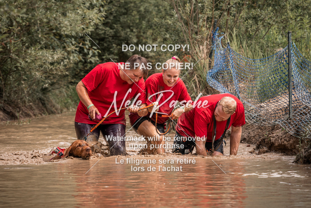 nelerasche_Hoope2026_So1400-1430_87 | nelerasche