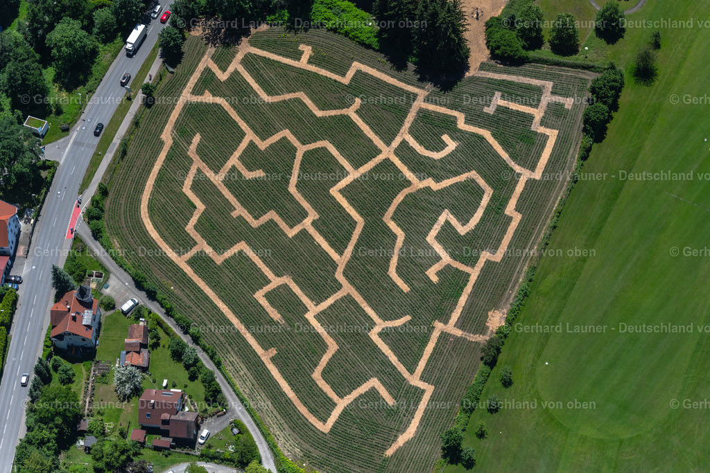 4031455 | LINDAU (BODENSEE) 12.06.2020 Irrgarten - Labyrinth des Lindauer Maislabyrinth in Lindau (Bodensee) am Bodensee im Bundesland Bayern, Deutschland. // Maze - Labyrinth on of Lindauer Maislabyrinth in Lindau (Bodensee) at Bodensee in the state Bavaria, Germany. Foto: Gerhard Launer