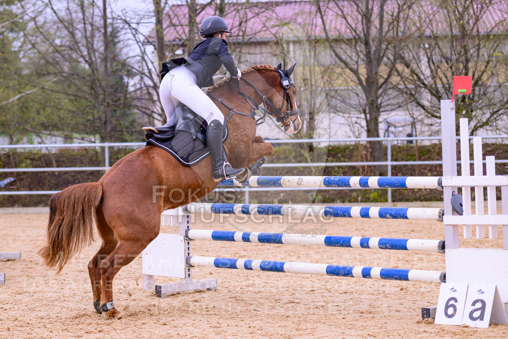 12042026-Mammendorf-Prfg43-0139 | Fokus Hufschlag Fotografie - Realisiert mit Pictrs.com