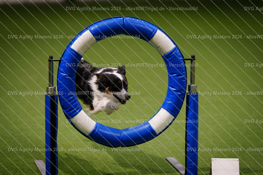allesWIRTHgut_Tierfotografie-DVG_Agility_Masters_2026-07_21-7R507173 | Professionelle Tierfotografie in Mönchengladbach von Daniel Wirth (allesWIRTHgut). Liebevolle & natürliche Bilder von Hunden & Katzen für unvergessliche Erinnerungen.