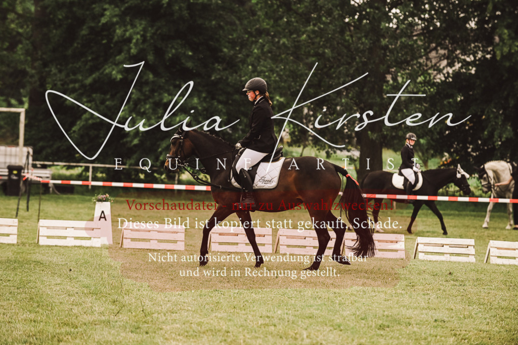 DSC_4919 | Pferde- und Turnierfotografie in Westsachsen. Pferdeportraits, Auftragszeichnungen und intuitive Kunst.