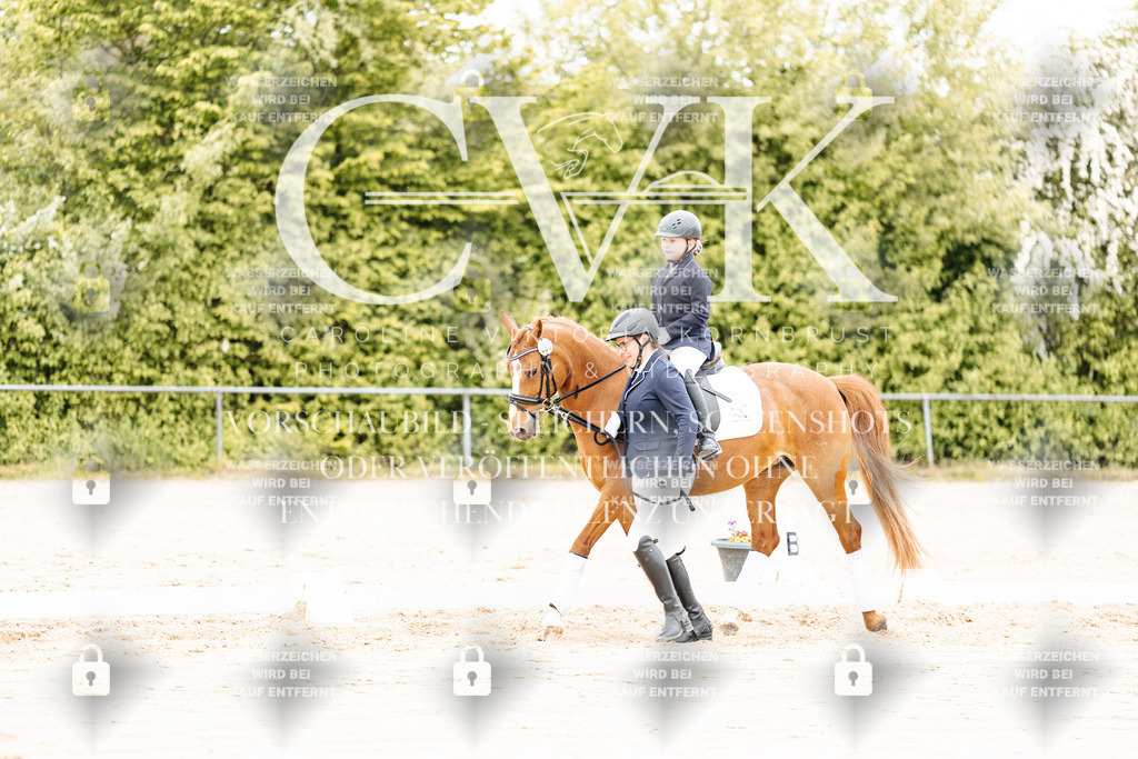 CK903672 | Turnierfotografie Pferdefotografie Trier Rheinland-Pfalz Pferdesport Reitsport Tierfotografie Sportfotografie Pferdevideo Pferdevideografie Equestrianvideography equestrianphotography  - Realisiert mit Pictrs.com