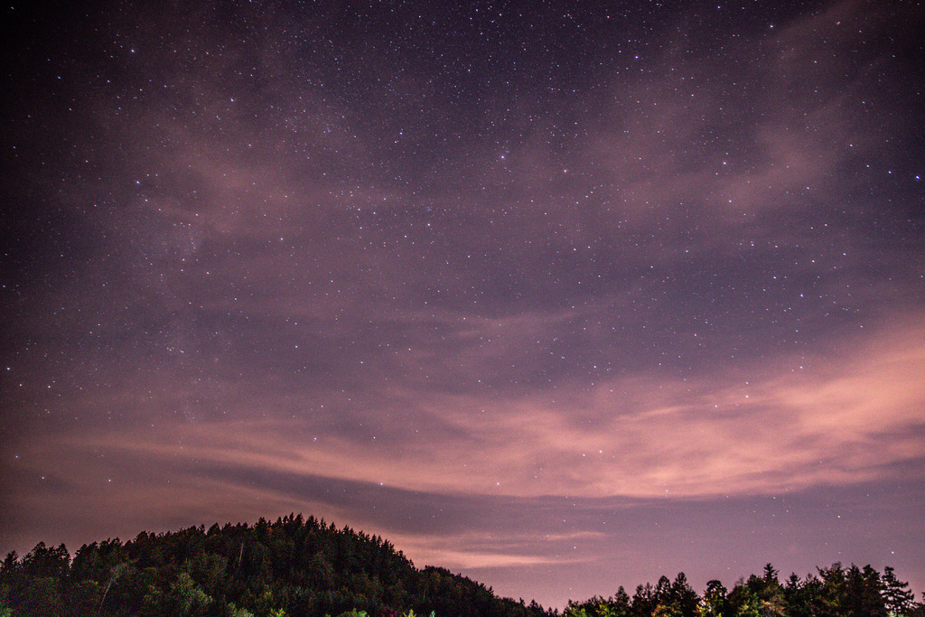 IMG_1267 | ehrlichefotos - Realisiert mit Pictrs.com