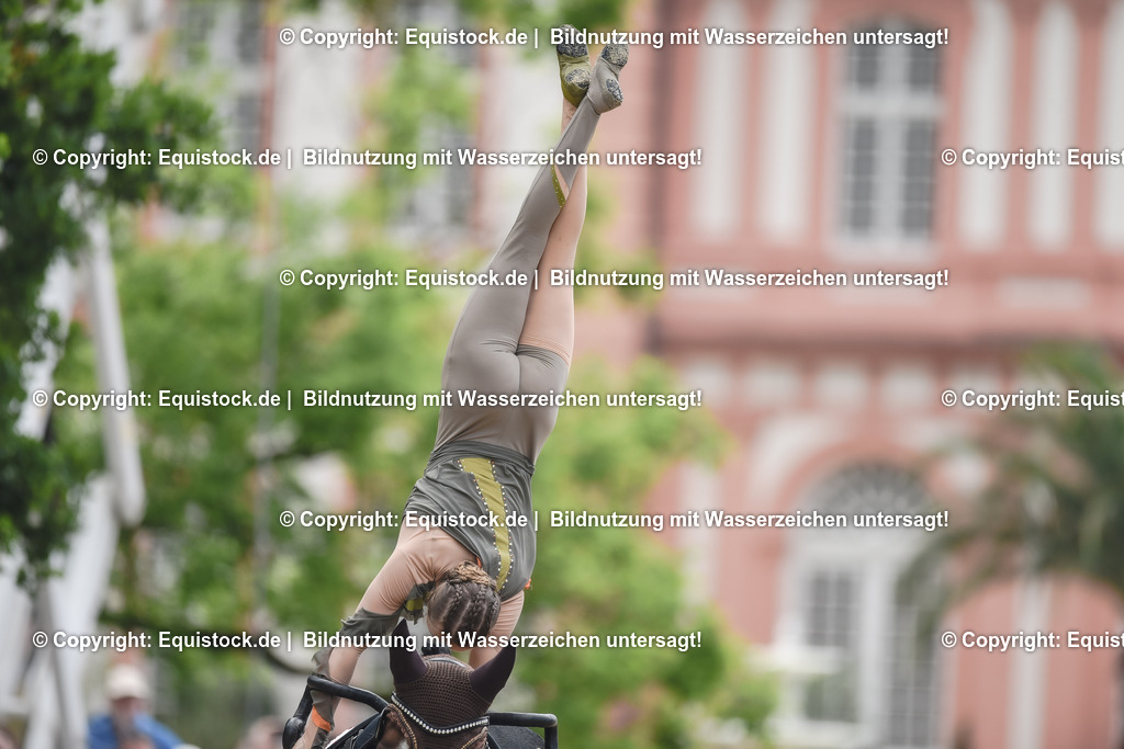 20240519_Voltige_0344 | Foto: Thomas Hartig