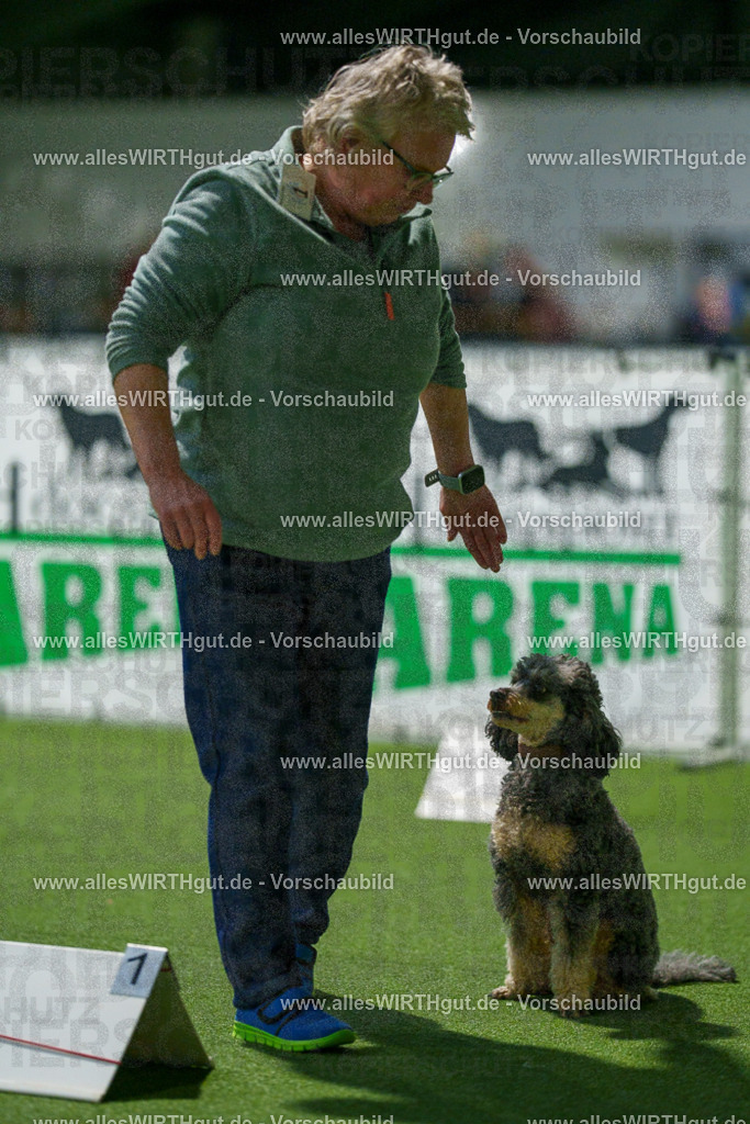 7R504017 | Professionelle Tierfotografie in Mönchengladbach von Daniel Wirth (allesWIRTHgut). Liebevolle & natürliche Bilder von Hunden & Katzen für unvergessliche Erinnerungen.