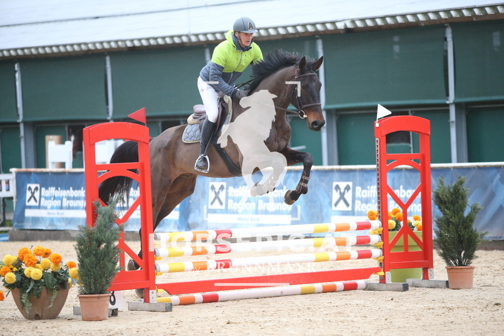 AS8V0727 | Willkommen bei Brunnmayr - Design & Fotografie – Ihrem Spezialisten für Reitturniere und Pferdeveranstaltungen in Oberösterreich, Salzburg und Bayern! Seit über 17 Jahren sind wir leidenschaftlich dabei.