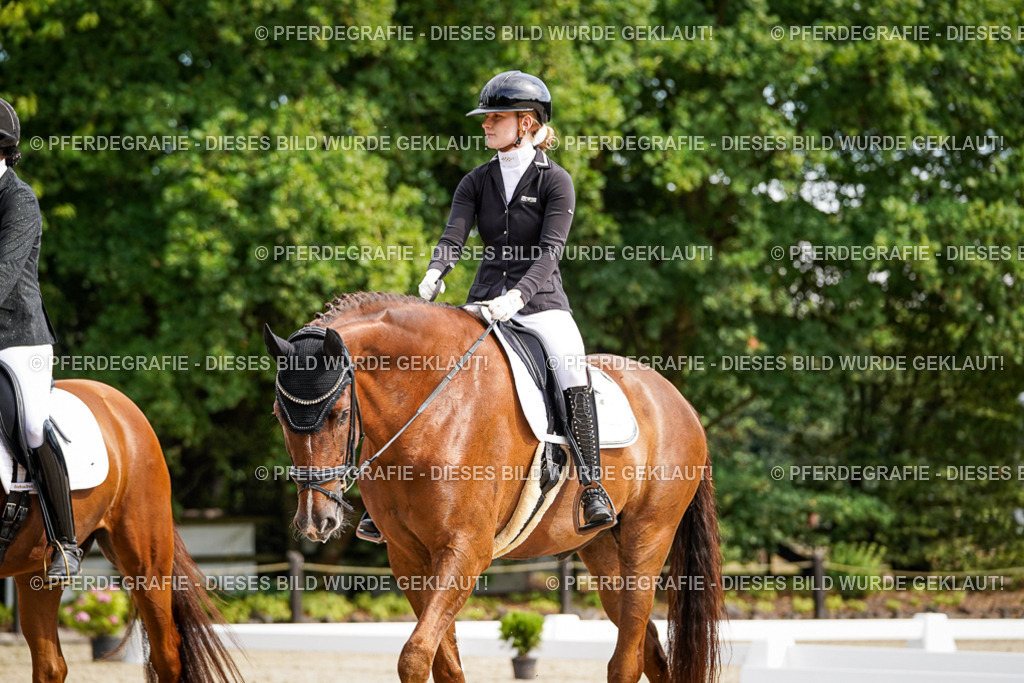 DSC07870 | Pferdegrafie