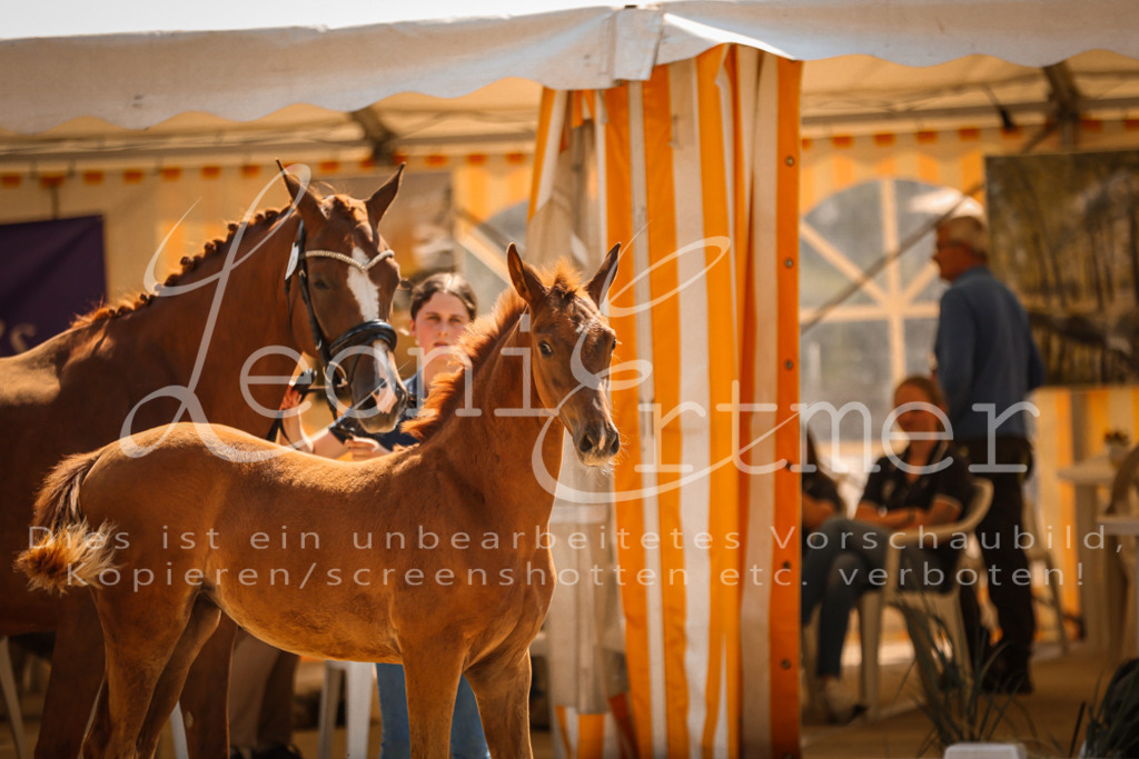 07.DoWBS00029 | Leoni Ertmer Photography - Realisiert mit Pictrs.com