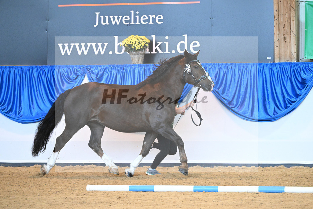 Kat-Nr. 82 Rebeca_Bauer_53220428 | hf-fotografie - Realisiert mit Pictrs.com