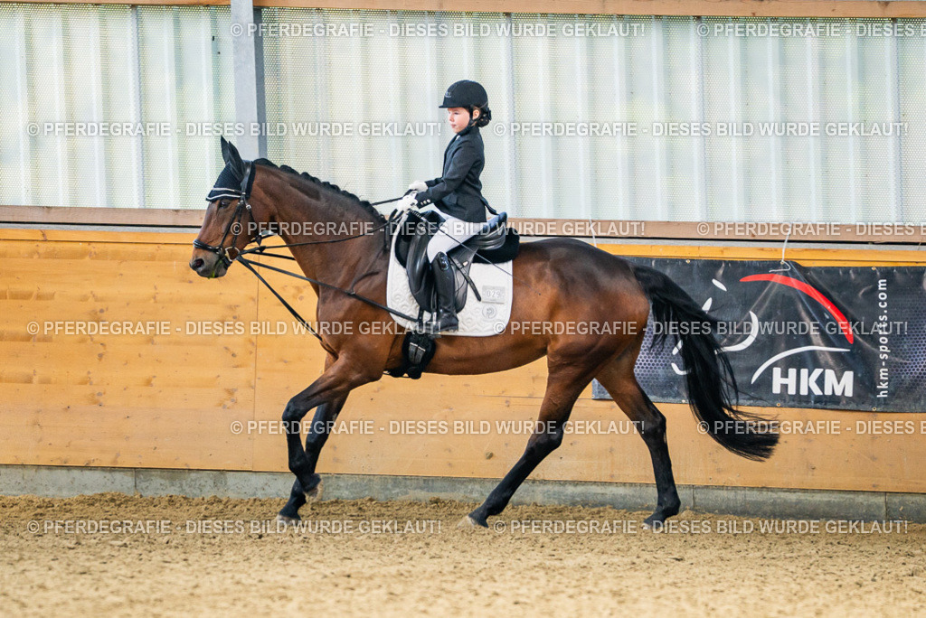 DSC02589 | Pferdegrafie