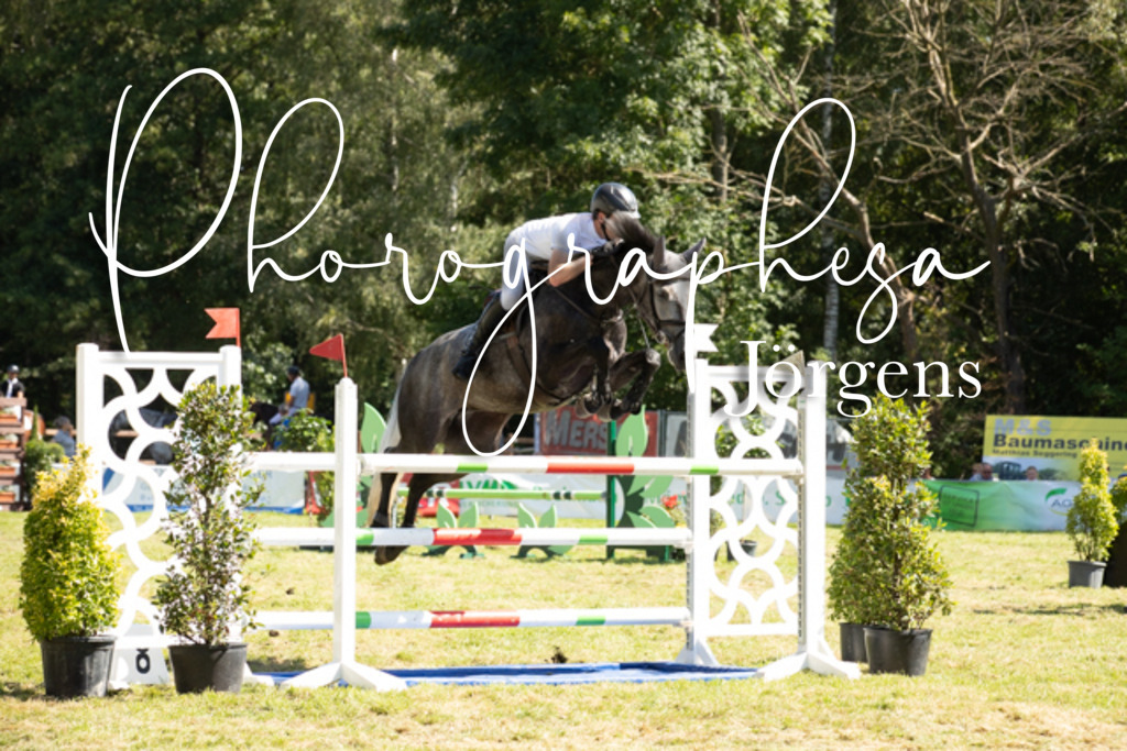 IMG_9092 | photographesa-joergens - Realisiert mit Pictrs.com