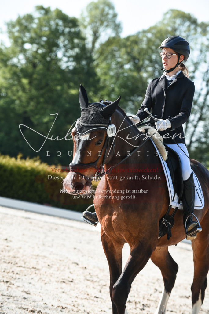 20230518_JK-Röhrsdorf-09-0477 | Pferde- und Turnierfotografie in Westsachsen. Pferdeportraits, Auftragszeichnungen und intuitive Kunst.