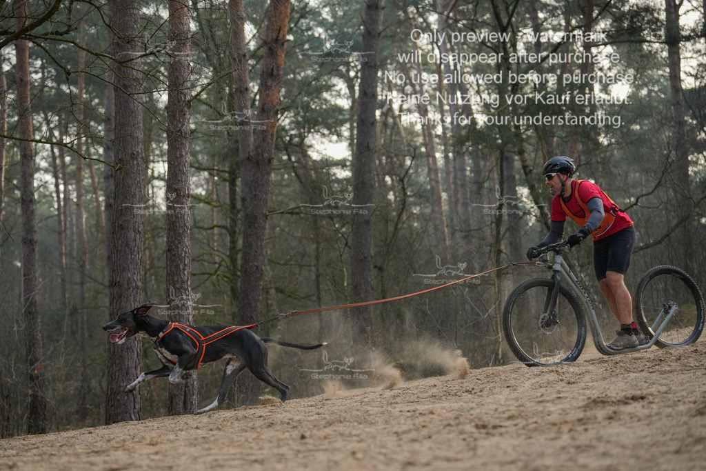 Scooter1-87 | stephaniefillaphotographie - Realisiert mit Pictrs.com