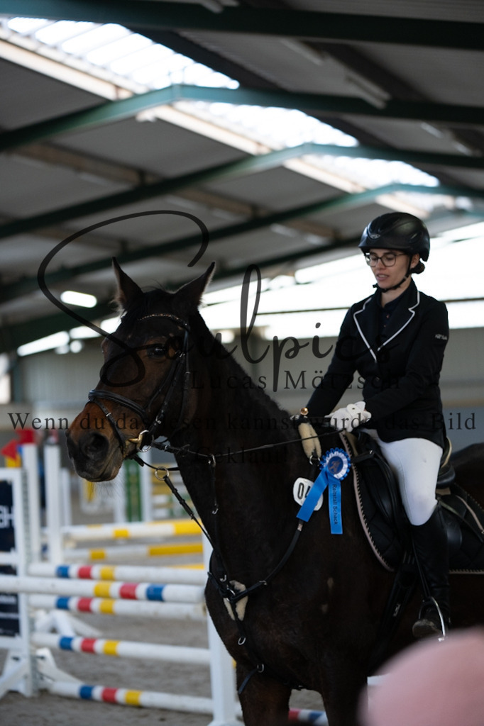 A7V02661 | Pferdefotograf