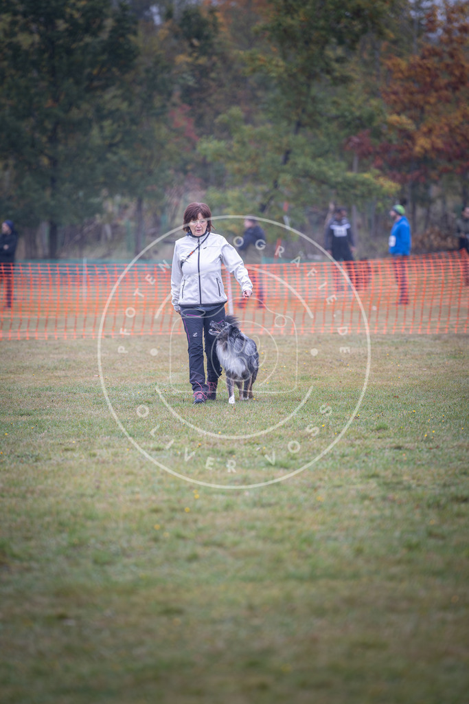 Pfotenfotografie_DV3A8969 | Hundefotografie, Tierfotograf, Pfotenfotografie, Fotoshooting Hund, Hunde Portrait, Hundesport, Hundeportraits, Heideshooting, Hunde, Sportfotograf, Hundefotograf, Turnierhundsport, THS,  - Realisiert mit Pictrs.com