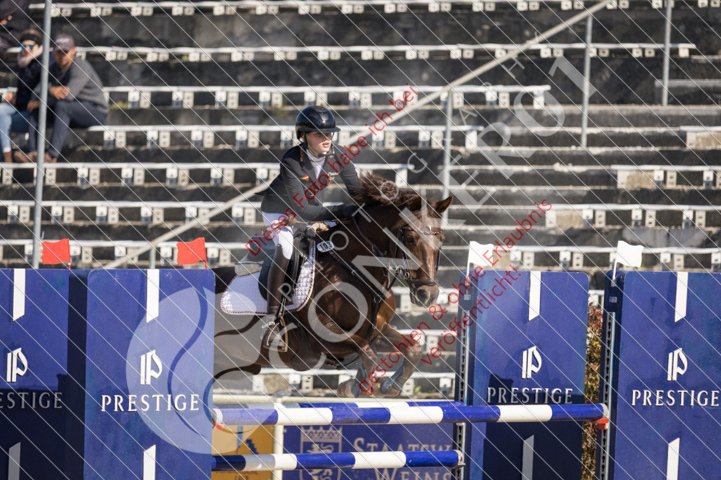 IMG_3529 | Sport-, Event- und Tierfotos in Profiqualität. Einfach auswählen, bestellen und herunterladen. Dein Moment – perfekt festgehalten.