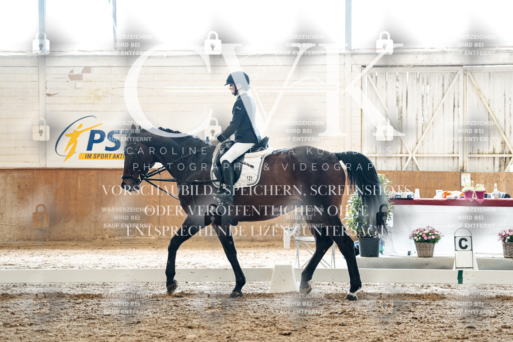CK900145 | Turnierfotografie Pferdefotografie Trier Rheinland-Pfalz Pferdesport Reitsport Tierfotografie Sportfotografie Pferdevideo Pferdevideografie Equestrianvideography equestrianphotography  - Realized with Pictrs.com